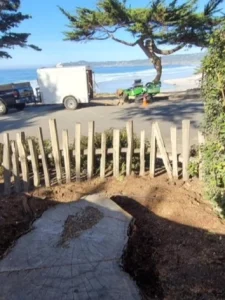 Stump Grinding in Monterey County & Surrounding Areas