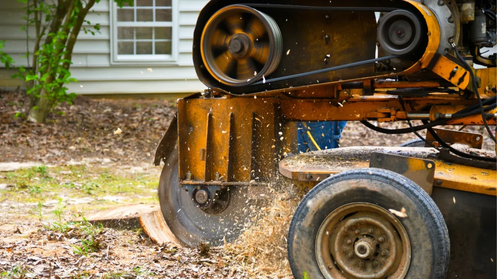 Stump Grinding in Monterey County & Surrounding Areas Stump Grinding in Monterey County & Surrounding Areas