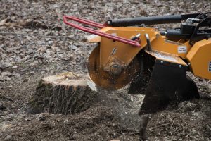 Stump Grinding in Monterey County & Surrounding Areas