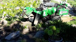 Stump Grinding in Monterey County & Surrounding Areas