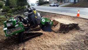 Stump Grinding in Monterey County & Surrounding Areas