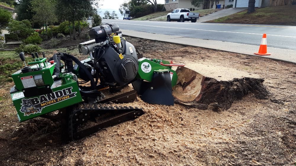 Stump Grinding in Monterey County & Surrounding Areas
