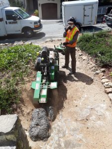 Stump Grinding in Monterey County & Surrounding Areas