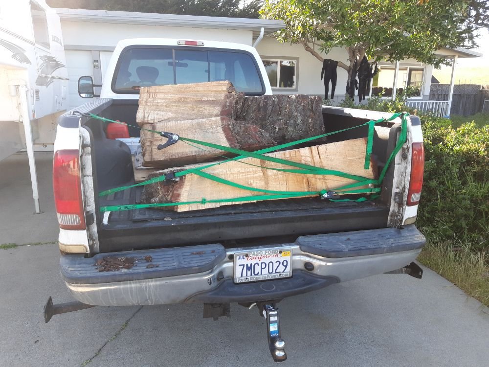 Stump Grinding in Monterey County & Surrounding Areas Stump Grinding in Monterey County & Surrounding Areas