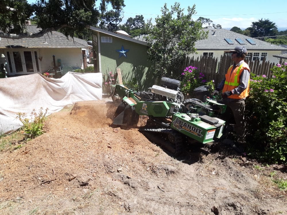 Stump Grinding in Monterey County & Surrounding Areas Stump Grinding in Monterey County & Surrounding Areas