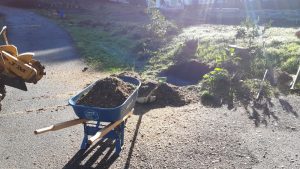 Stump Grinding in Monterey County & Surrounding Areas
