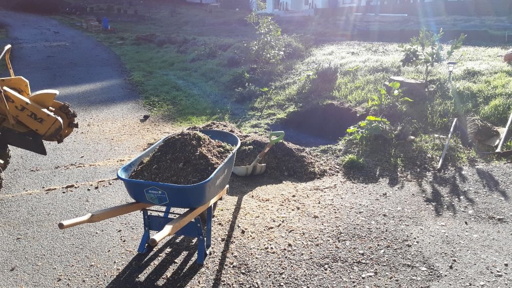 Stump Grinding in Monterey County & Surrounding Areas Stump Grinding in Monterey County & Surrounding Areas