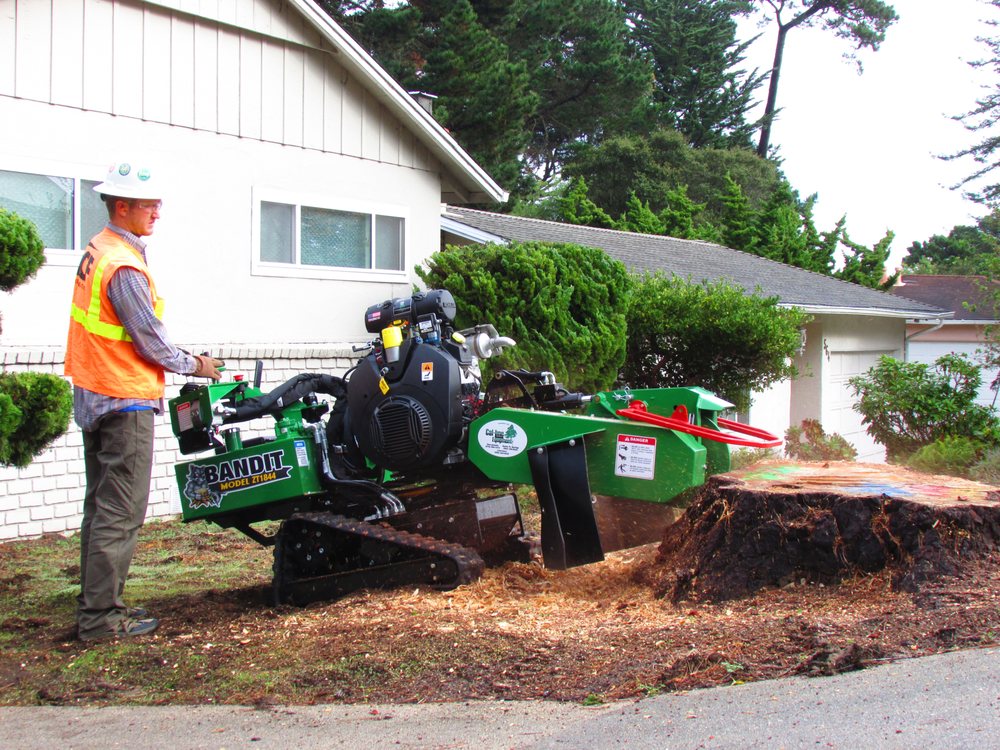 Emergency Stump Grinding in Monterey County & Surrounding Areas Emergency Stump Grinding in Monterey County & Surrounding Areas