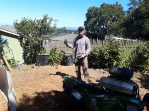 Stump Grinding in Monterey County & Surrounding Areas